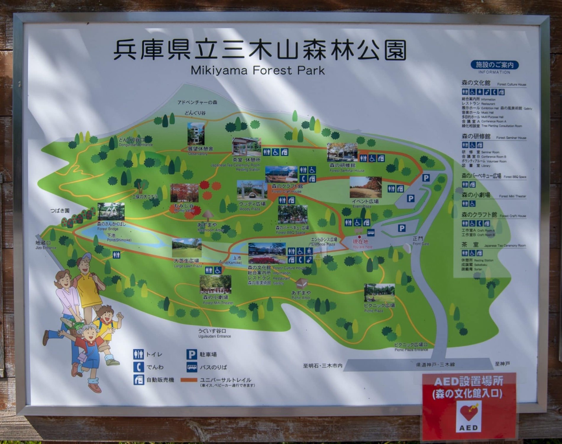 🌳 미키야마 삼림공원 (효고현립 미키야마신린코엔) 이미지 4